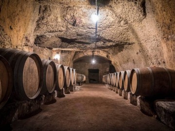 Domaine de Nerleux_10 Amélie NEAU - Libre de droit