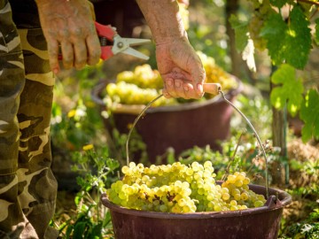 Domaine de Nerleux_14 Alexandre Hellebuyck