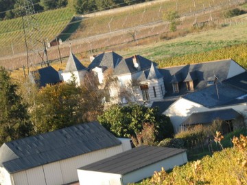Ratron