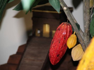 © Musée du Chocolat