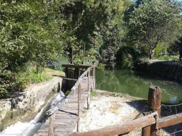 Le Moulin de Rotrou