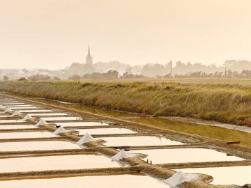Marais salants de L'Ile d'Olonne Alexandre Lamoureux