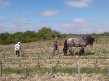 Domaine du Closel