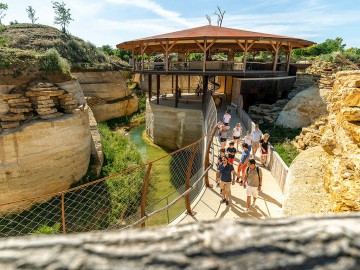 Cratere-carnivores Bioparc-S.Gaudard