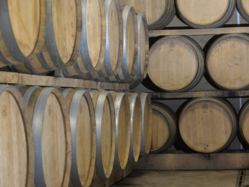domainedes2arcs-terranjou-49-1 ©Domaine des 2 arcs
