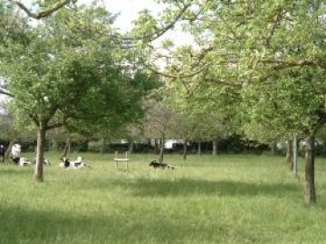 dscf2016 Ferme du Theil