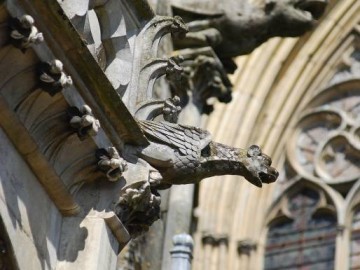 FMA72-gargouille cathédrale Ville du Mans