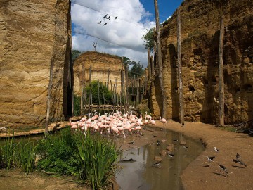 Grande-voliere Bioparc
