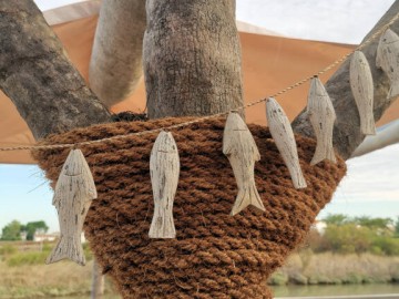 Huitres-Chez-Greg-Cabane-Aiguillon-sur-Mer Tout droit réservé