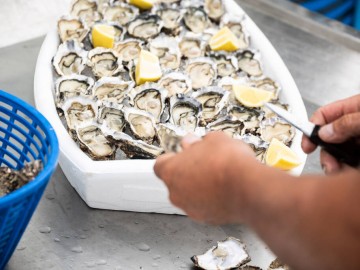 Huitres-Chez-Greg-Gaudin-Aiguillon-sur-Mer Tout droit réservé