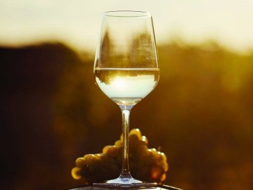 Terre & Loire - Apres turbin © Terre et Loire